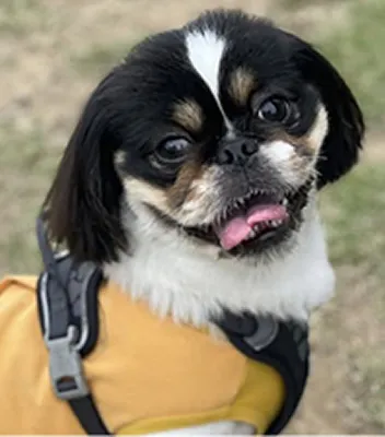 Dayトレーニングコース