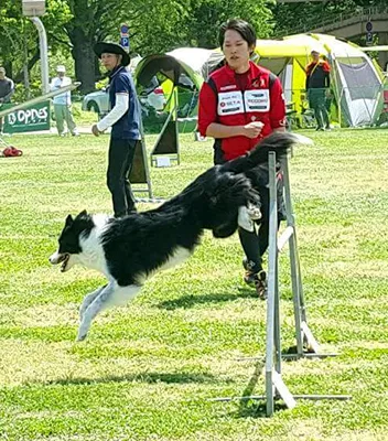 フィールドレッスン